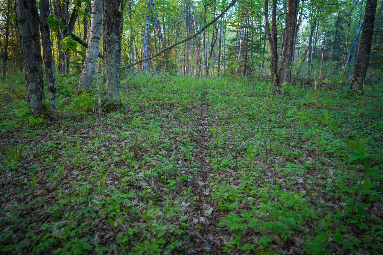 V/l V/l 33rd Road Gladstone, MI 49837 - Photo 59 of 70