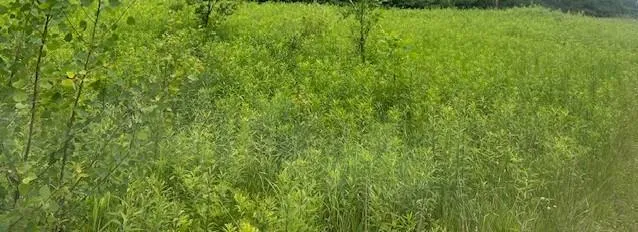 $69,000 | Xxx 210th Street, Milaca, MN 56353