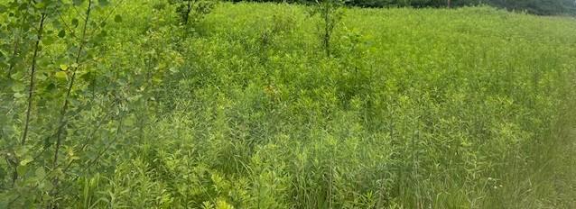 Xxx 210th Street Milaca, MN 56353 - Photo 1 of 1