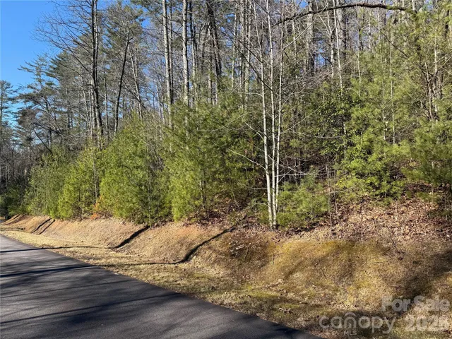 $95,000 | Lot 25-a And B) Rockbrook Overlook Overlook, Unit OVERLOOK, Brevard, NC 28712
