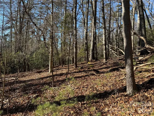 $95,000 | Lot 25-a And B) Rockbrook Overlook Overlook, Unit OVERLOOK, Brevard, NC 28712