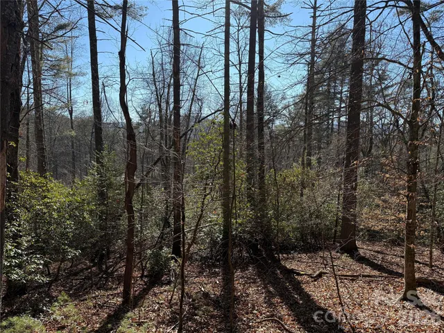 $95,000 | Lot 25-a And B) Rockbrook Overlook Overlook, Unit OVERLOOK, Brevard, NC 28712