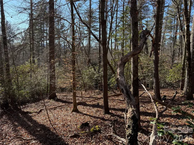 $95,000 | Lot 25-a And B) Rockbrook Overlook Overlook, Unit OVERLOOK, Brevard, NC 28712