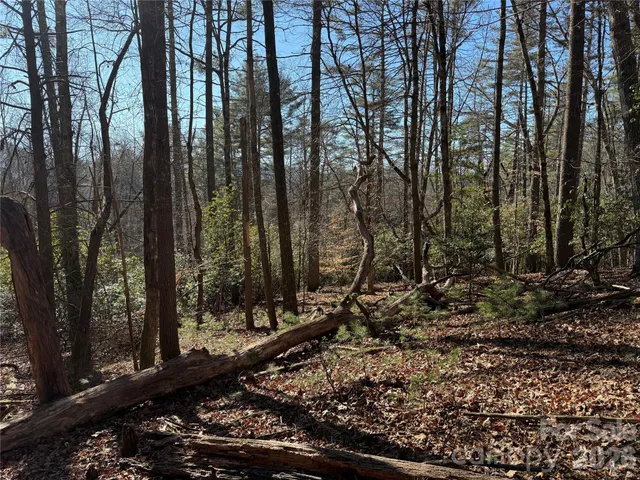 $95,000 | Lot 25-a And B) Rockbrook Overlook Overlook, Unit OVERLOOK, Brevard, NC 28712