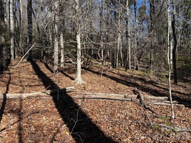$95,000 | Lot 25-a And B) Rockbrook Overlook Overlook, Unit OVERLOOK, Brevard, NC 28712