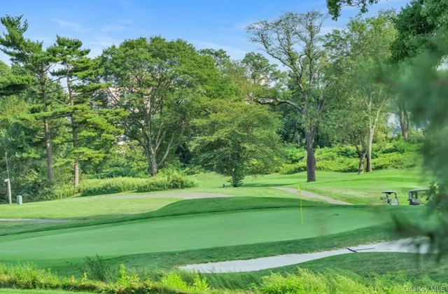a view of a grassy field with trees