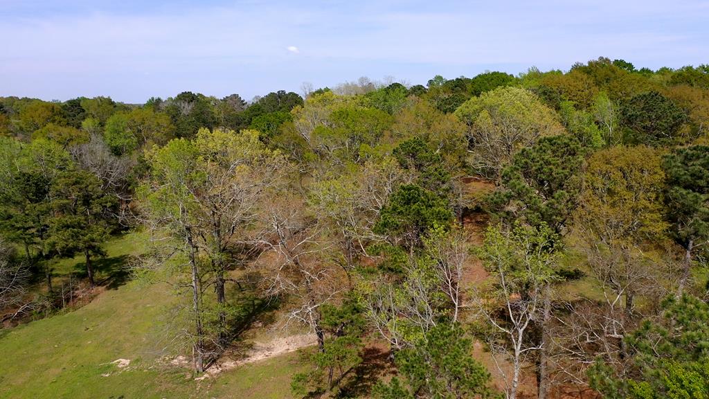 369 Bud Gary Road Clayton, AL 36016 - Photo 11 of 42