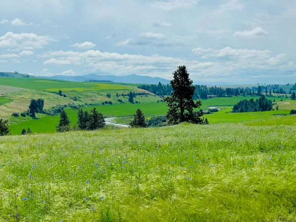 $299,000 | 11900 East Hays Road, Unit LOT A PARCEL 9030, Fairfield, WA 99012