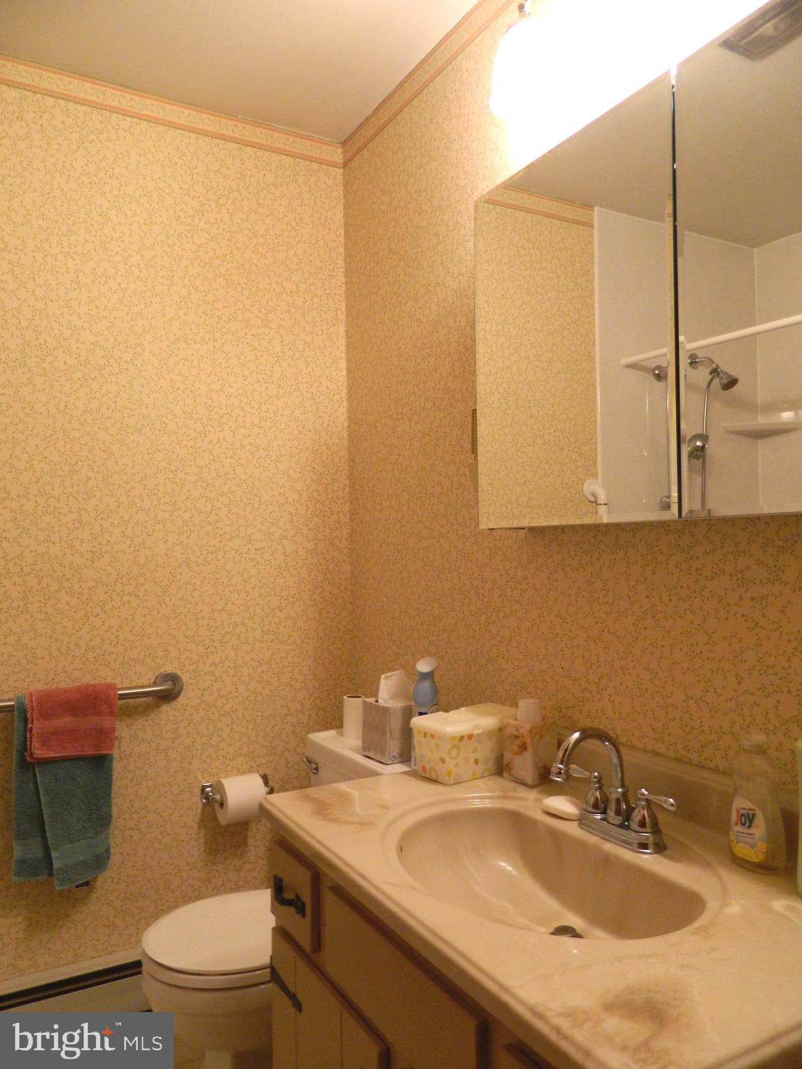 26671 Bee Tree Road Henderson, MD 21640 - Photo 15 of 25 Gallery Image 15