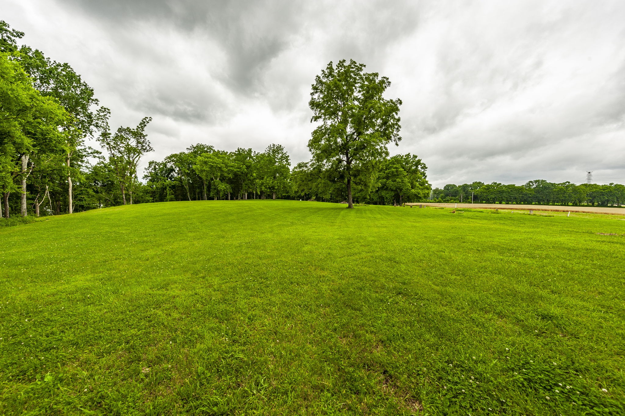 1113 East Robertson Road Castalian Springs, TN 37031 - Photo 25 of 56
