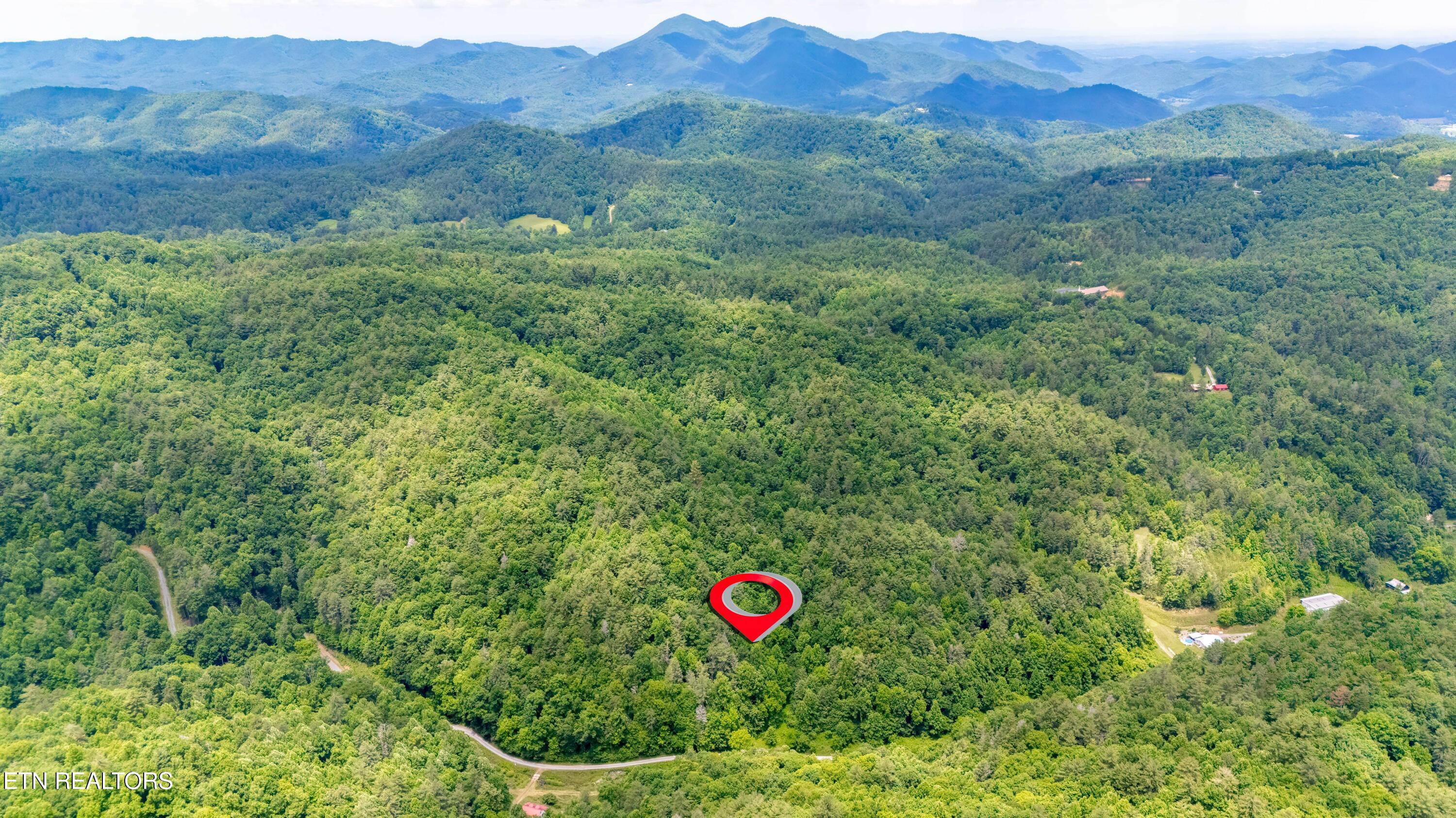 Johns Creek Road Del Rio, TN 37727 - Photo 6 of 17 DJI_20260602131704_0367_D-HDR-Edit-Edit