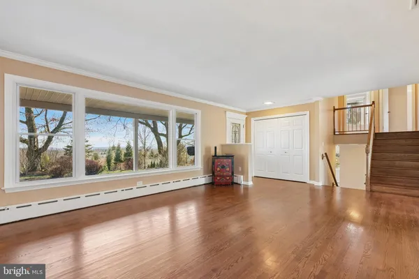 a living room with furniture a rug potted plant and a large window