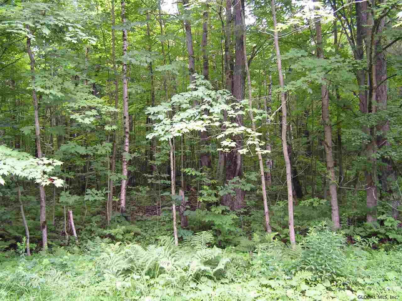 Mereness Road Worcester, NY 12197 - Photo 3 of 7 Photo 3
