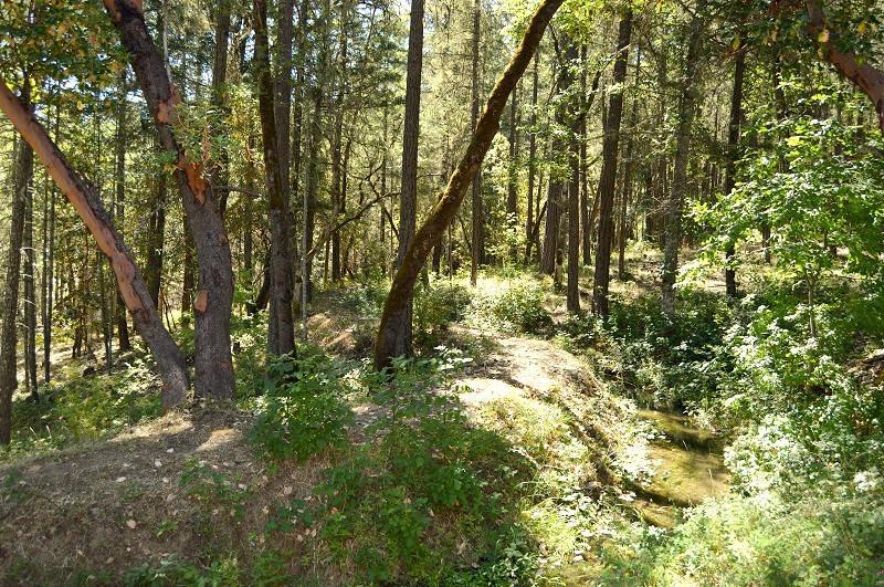 3952 Little Applegate Road Jacksonville, OR 97530 - Photo 19 of 32 Additional Photo