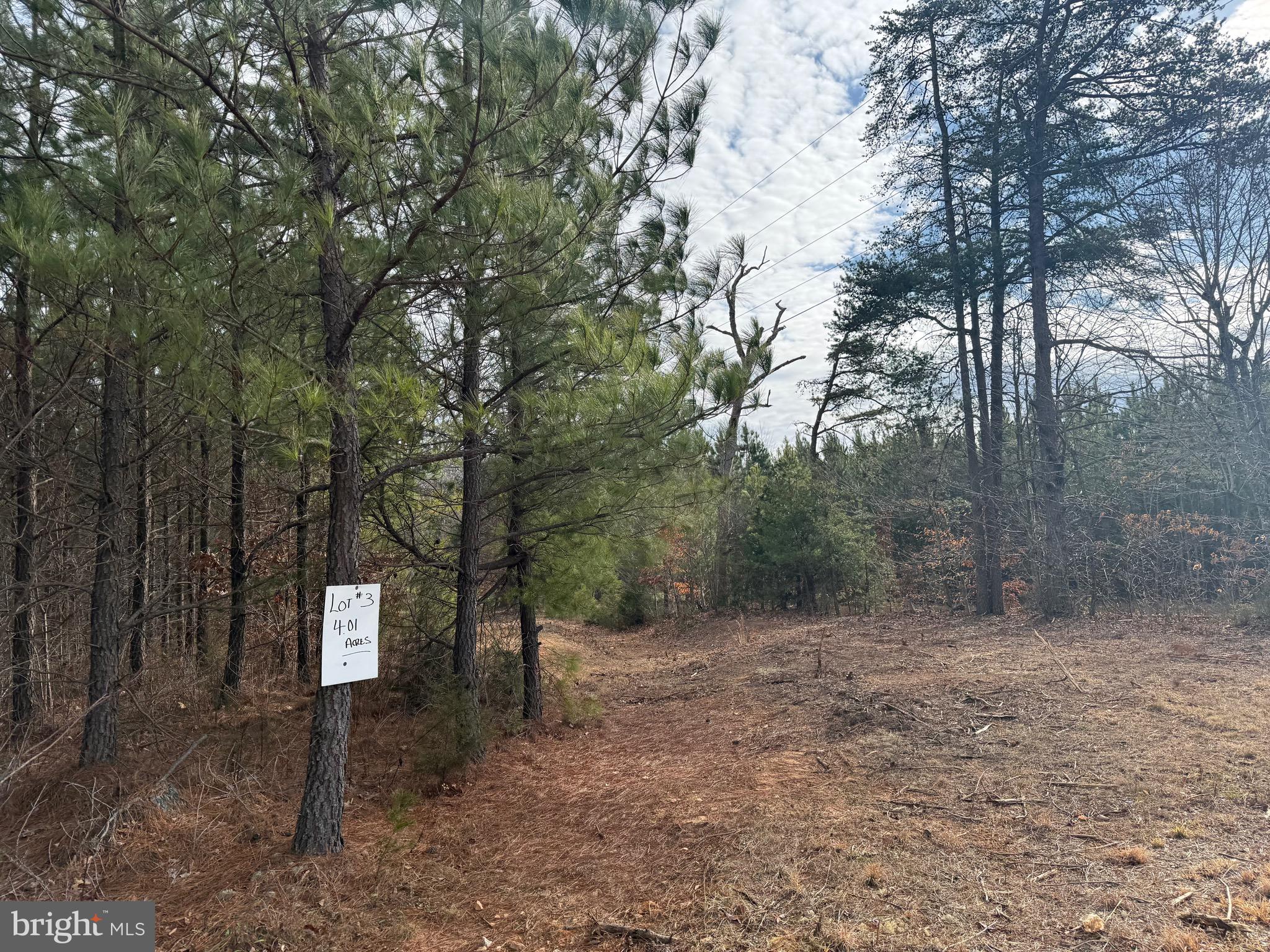 Lot 3 Hardware Road Arvonia, VA 23004 - Photo 11 of 18
