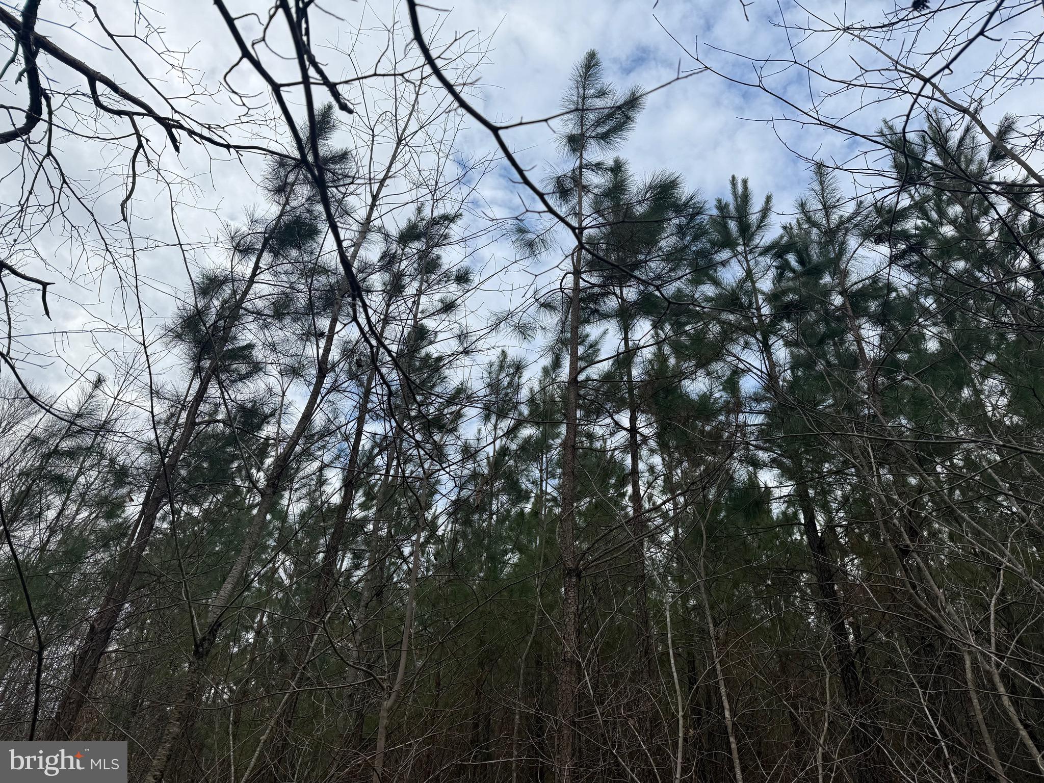 Lot 3 Hardware Road Arvonia, VA 23004 - Photo 16 of 18