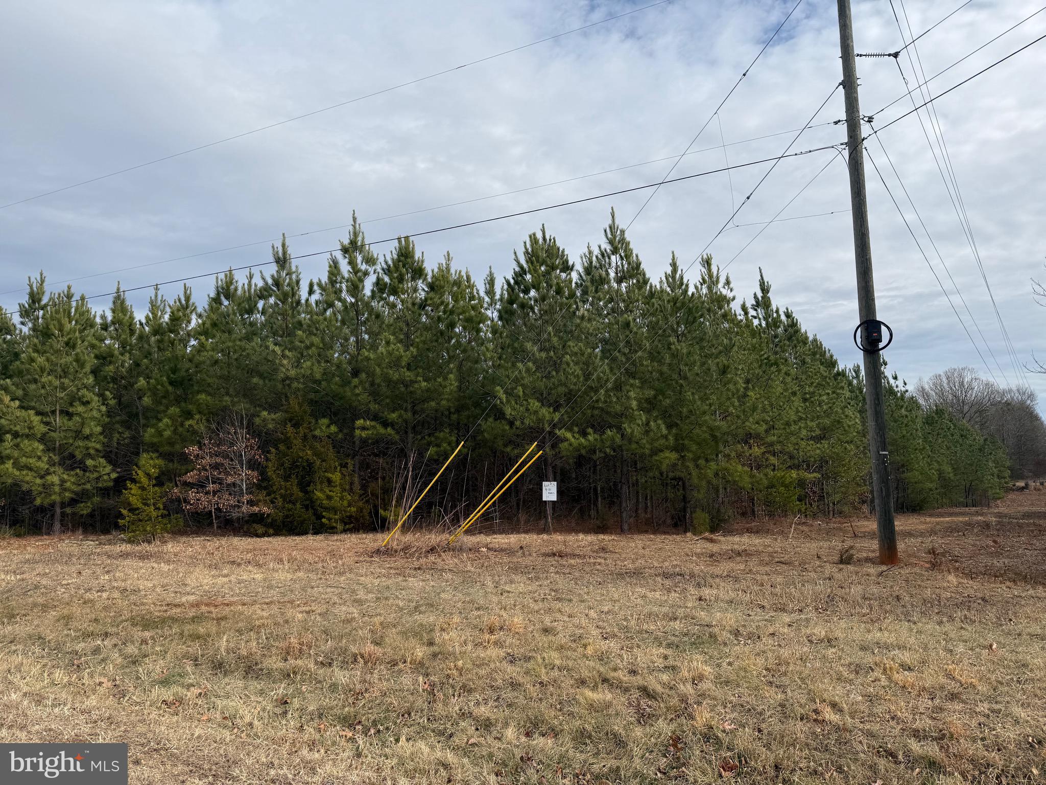 Lot 3 Hardware Road Arvonia, VA 23004 - Photo 4 of 18