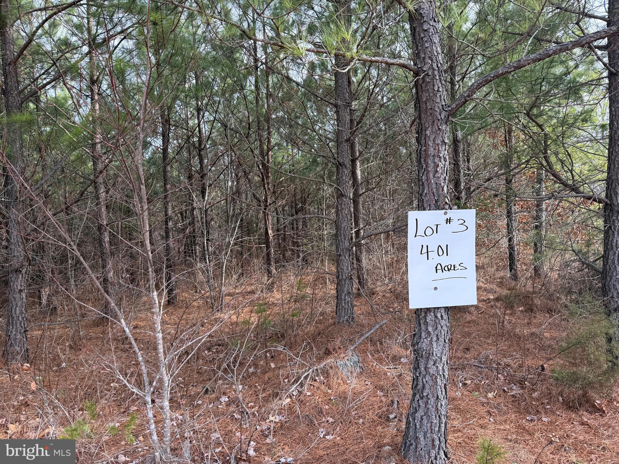 Lot 3 Hardware Road Arvonia, VA 23004 - Photo 8 of 18