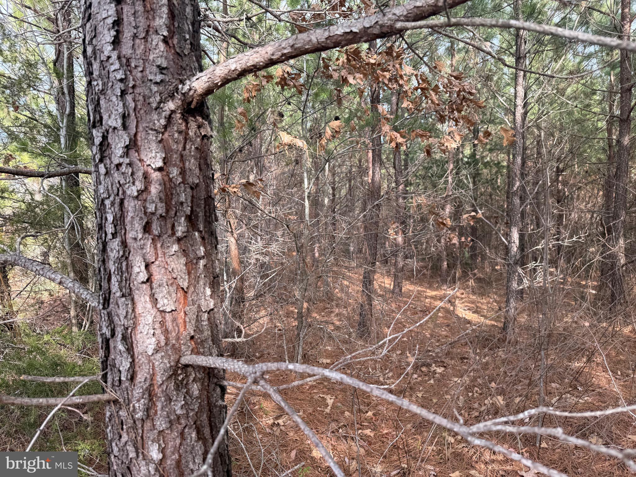 Lot 3 Hardware Road Arvonia, VA 23004 - Photo 9 of 18