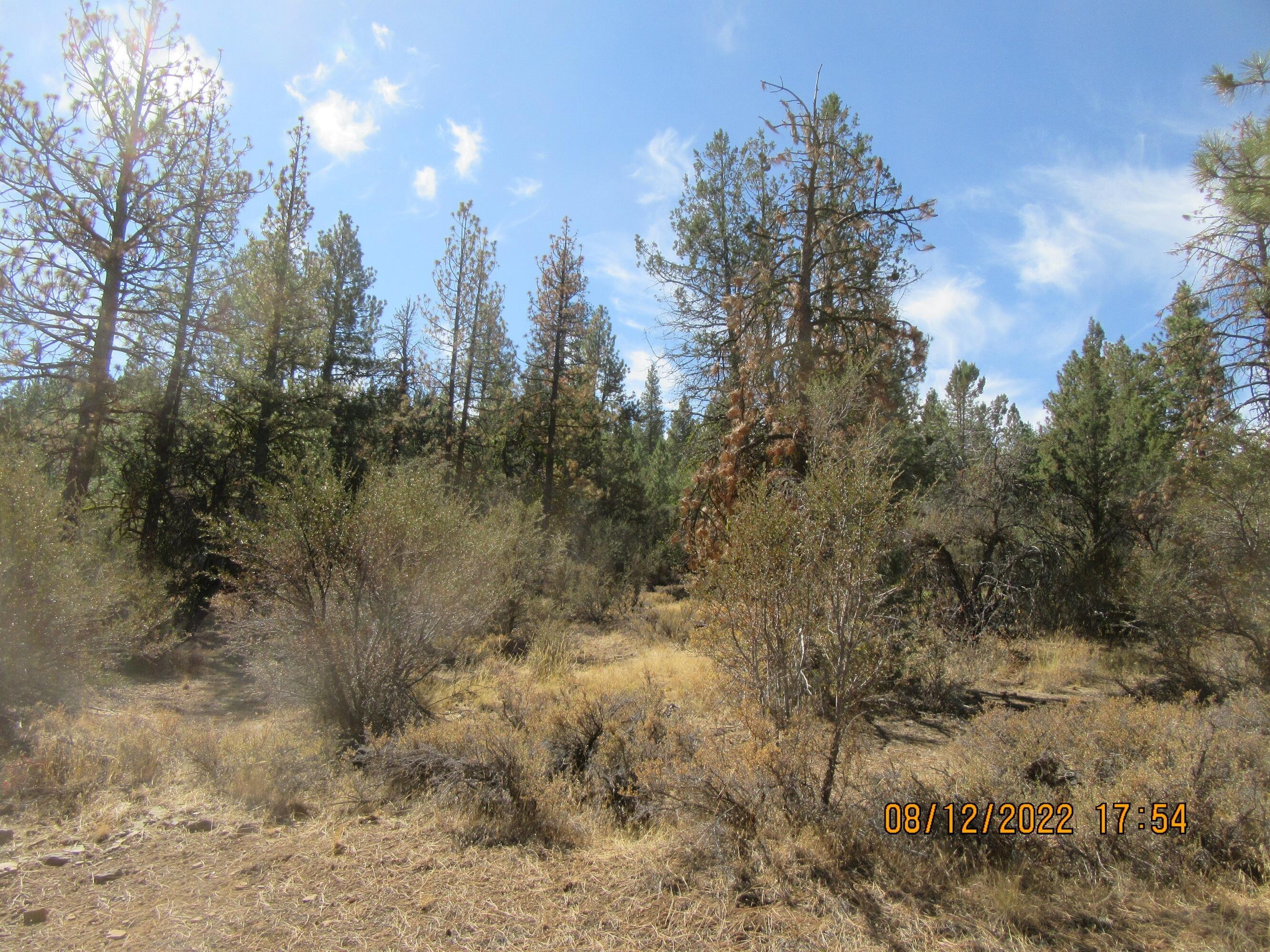 Lot 2 Tiger Lane Bonanza, OR 97623 - Photo 3 of 12 Tiger 6