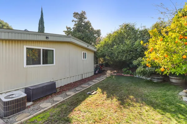 a view of a backyard with large trees