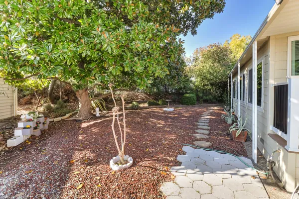 a view of backyard with green space