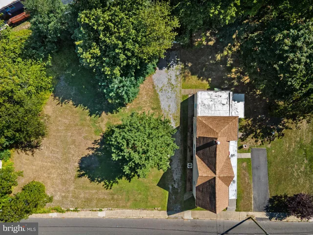 a view of a large yard with plants and trees
