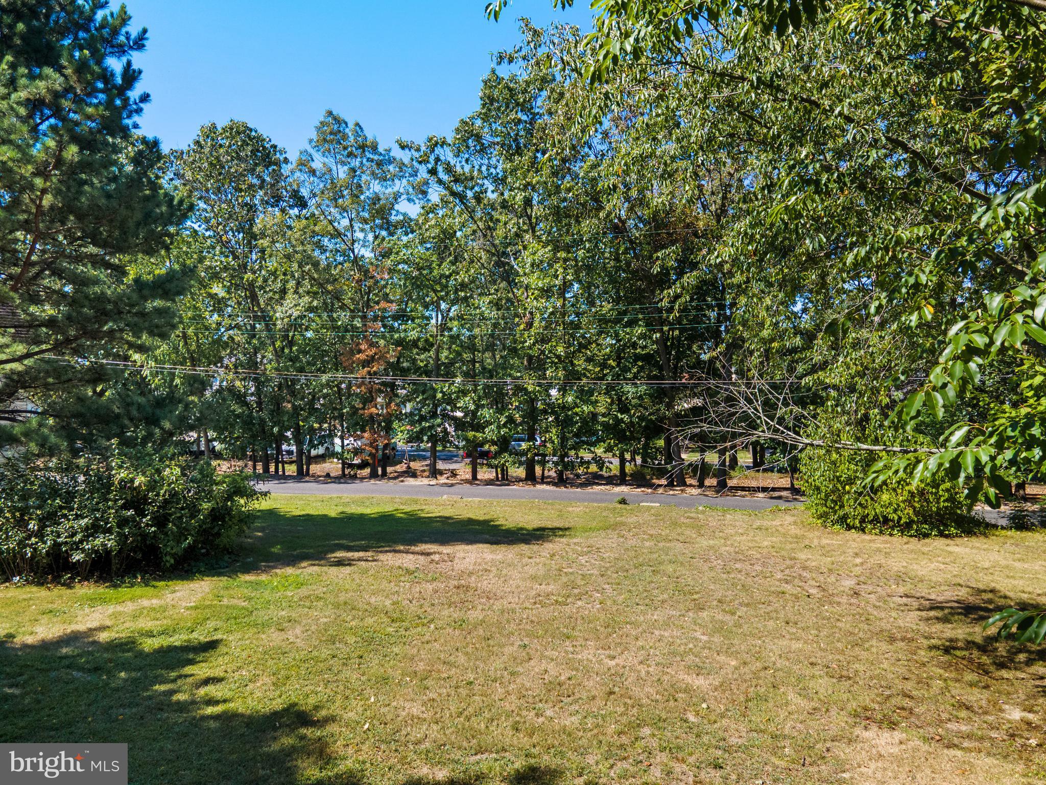 349 West Jersey Avenue Pitman, NJ 08071 - Photo 21 of 66 a view of yard with green space and trees in the background