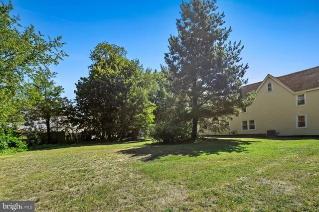 a view of a swimming pool with a yard and large trees