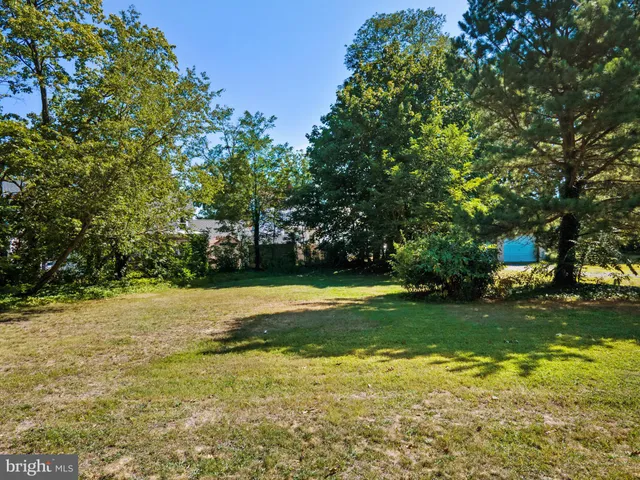 a view of a tree in the middle of a yard