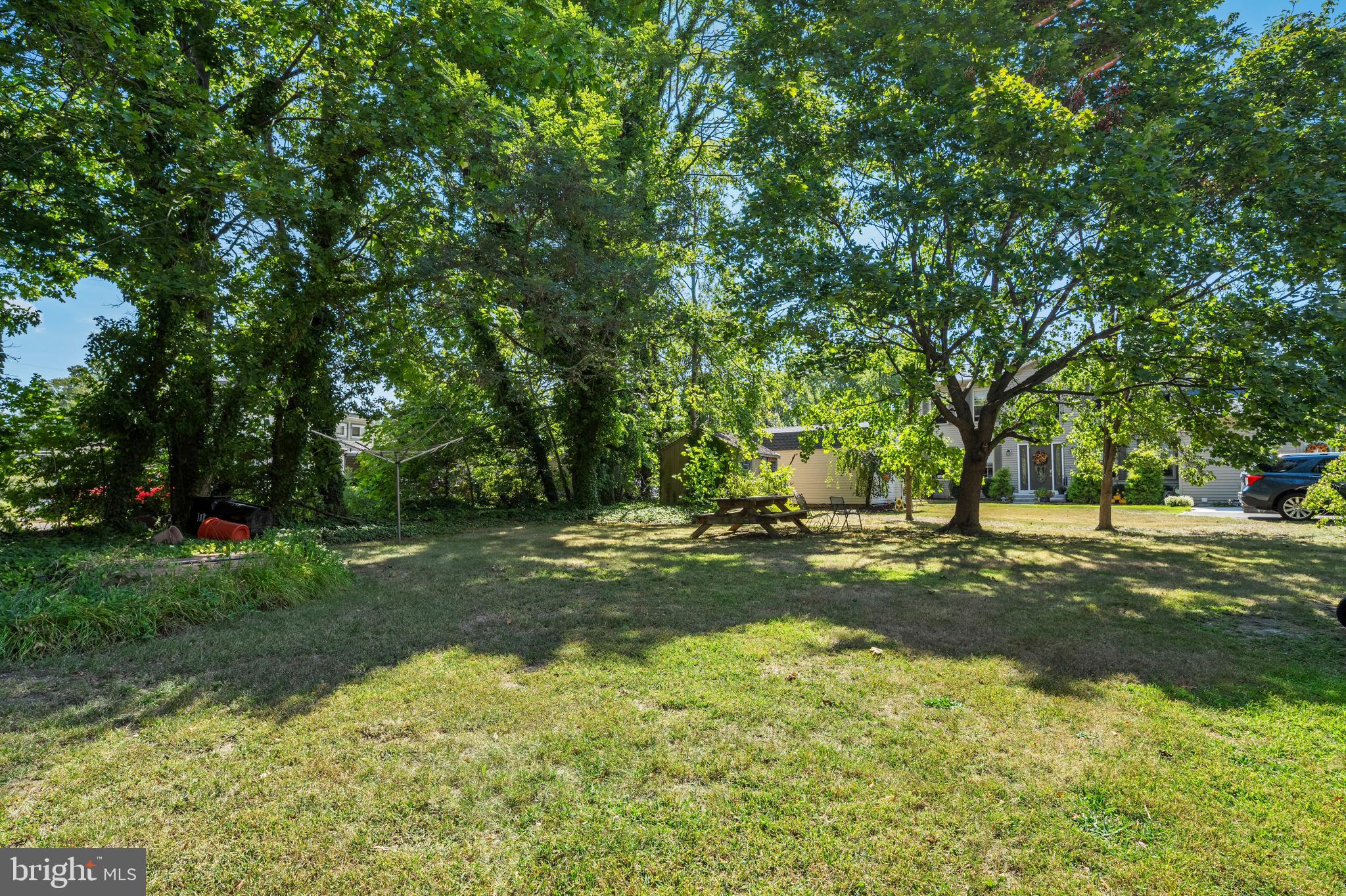 349 West Jersey Avenue Pitman, NJ 08071 - Photo 34 of 66 a view of a tree in the middle of a yard