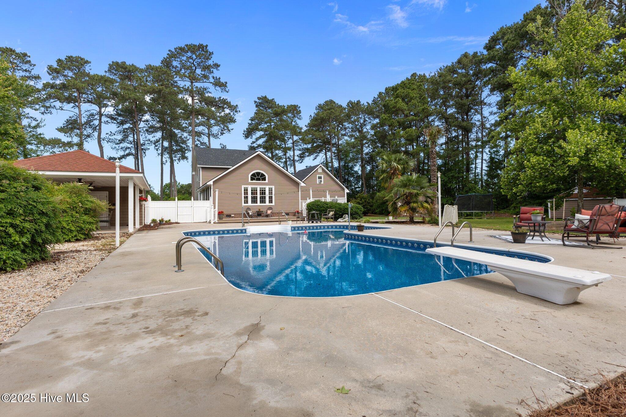 1033 Pearson Road Clinton, NC 28328 - Photo 40 of 59 1033 Pearson pool diving board