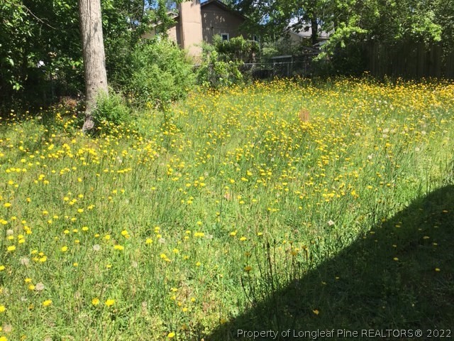 3319 Arrowhead Road Spring Lake, NC 28390 - Photo 20 of 20 a view of a yard with plants