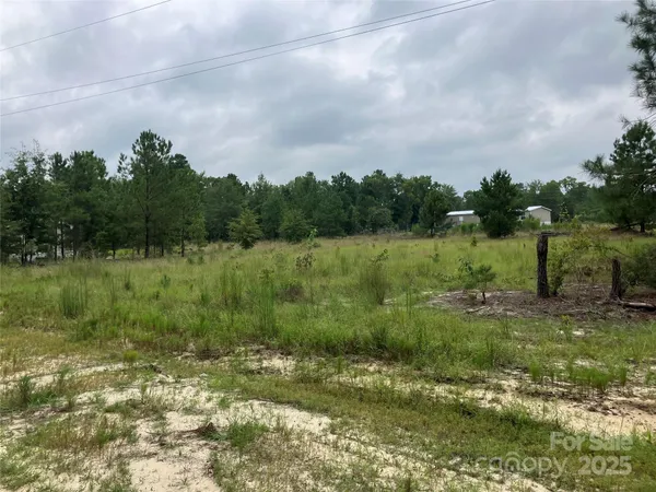 $850,000 | 1542 Macedonia-Angelus Road, Jefferson, SC 29718