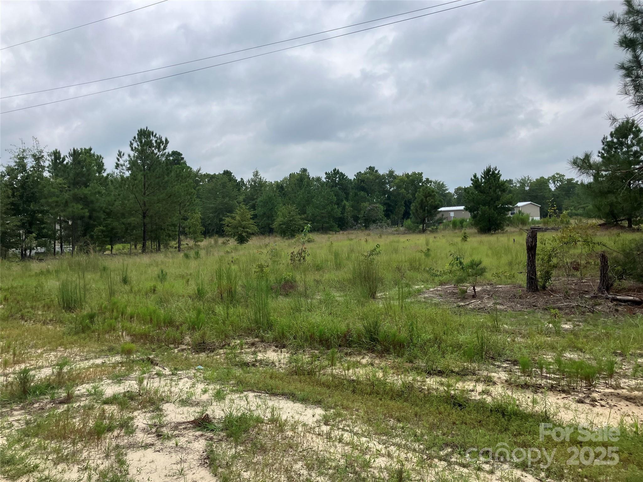 1542 Macedonia-Angelus Road Jefferson, SC 29718 - Photo 6 of 6 a view of a field with a tree in it
