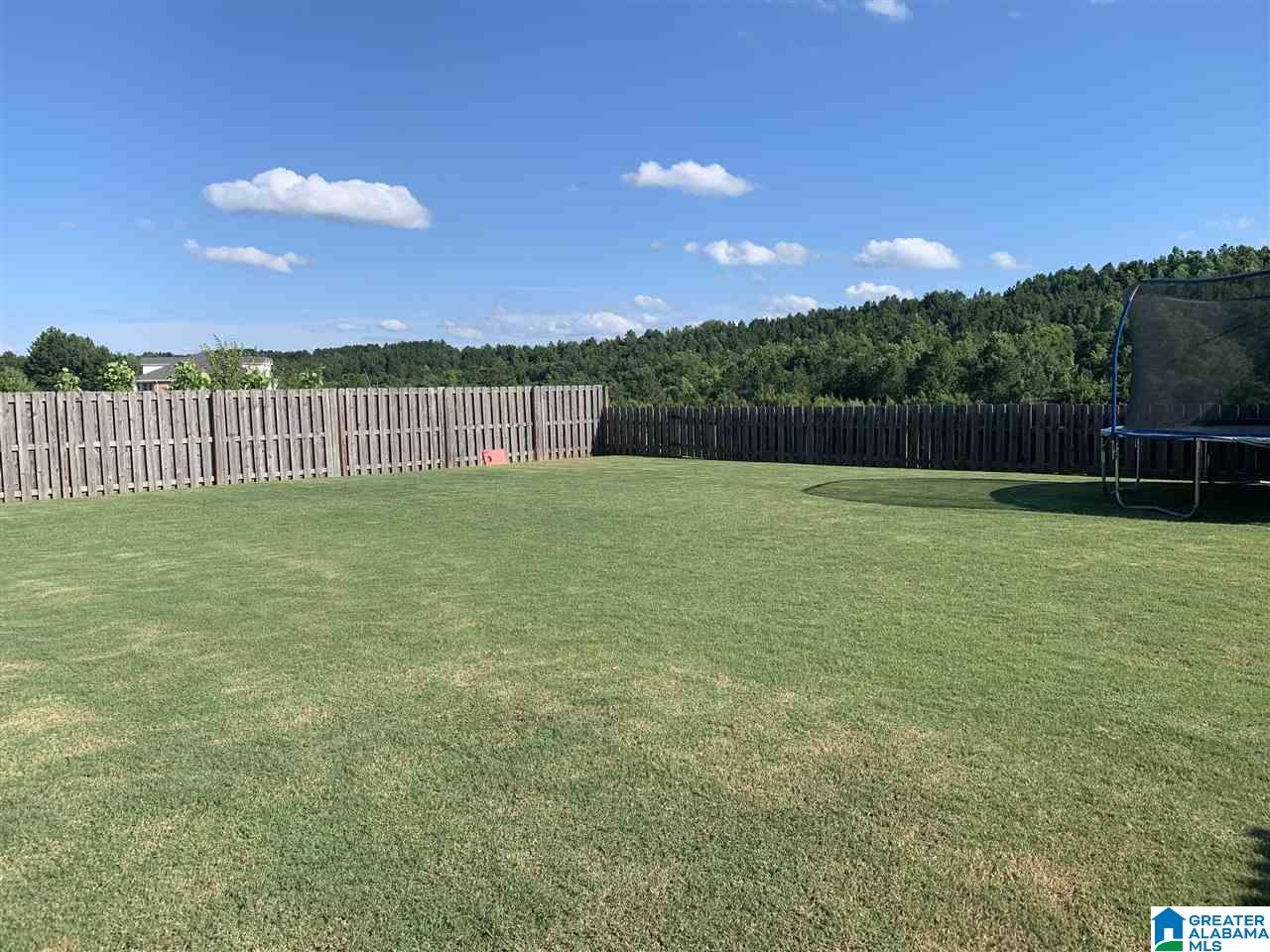 357 Blackberry Boulevard Springville, AL 35146 - Photo 4 of 28