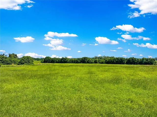 a view of an ocean and a yard