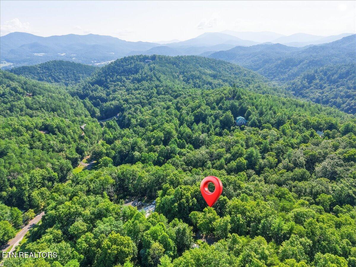 739 Stonegate Way Townsend, TN 37882 - Photo 45 of 49 45-002_DJI_20260708095621_0216_D