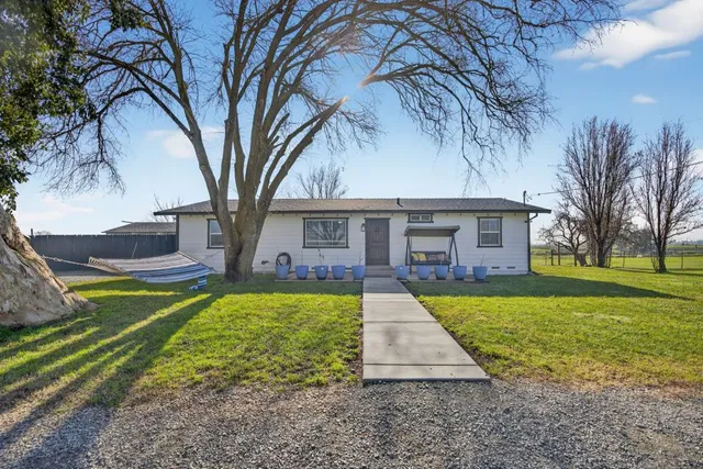 a view of a house with backyard and a tree