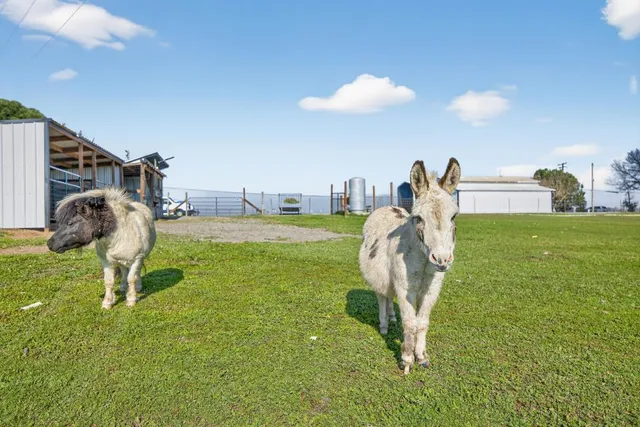 $1,125,000 | 11490 Arno Road, Galt, CA 95632