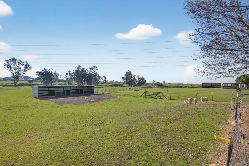 11490 Arno Road Galt, CA 95632 - Photo 77 of 95