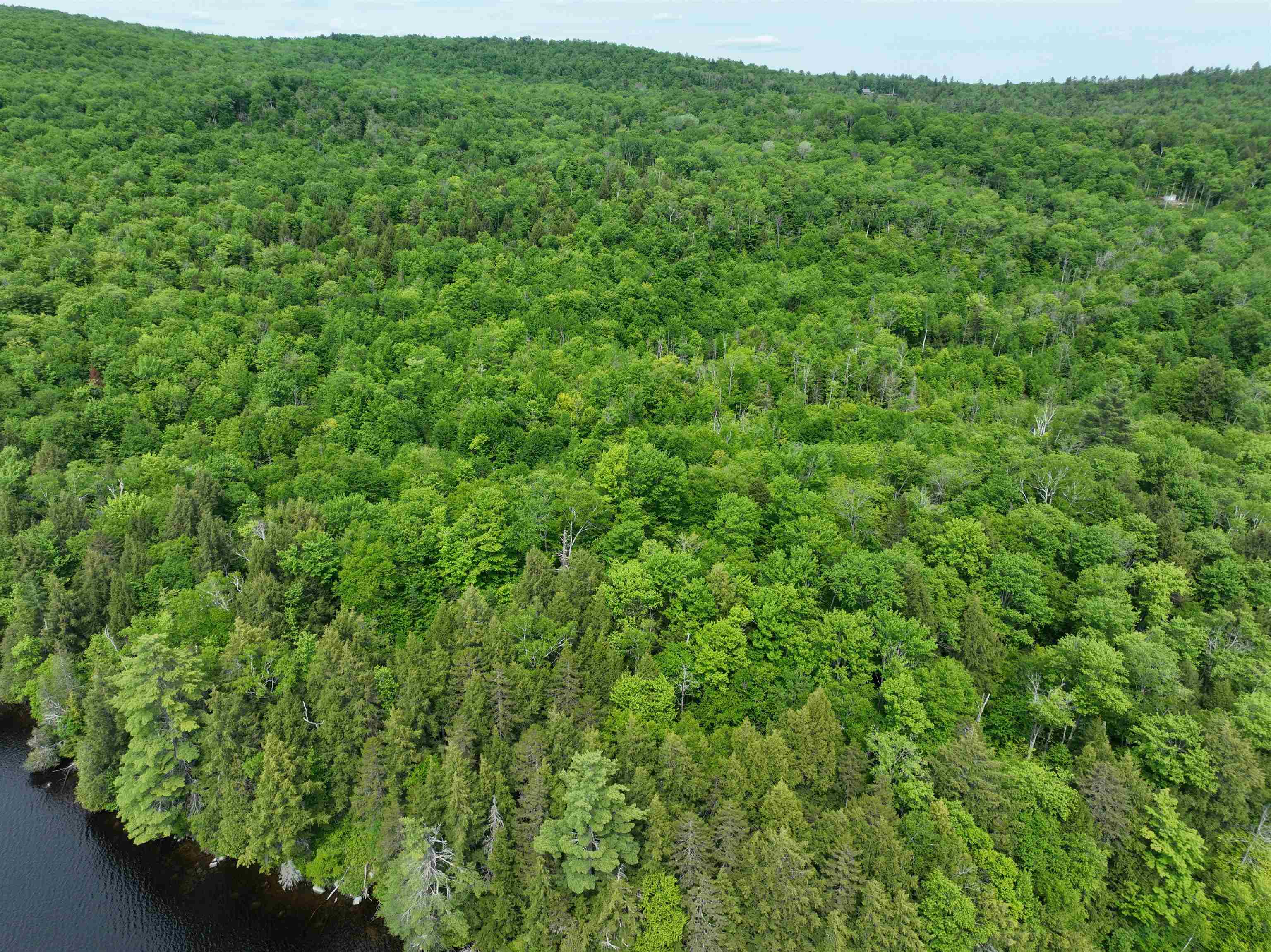 0 South County Road Groton, VT 05046 - Photo 10 of 11