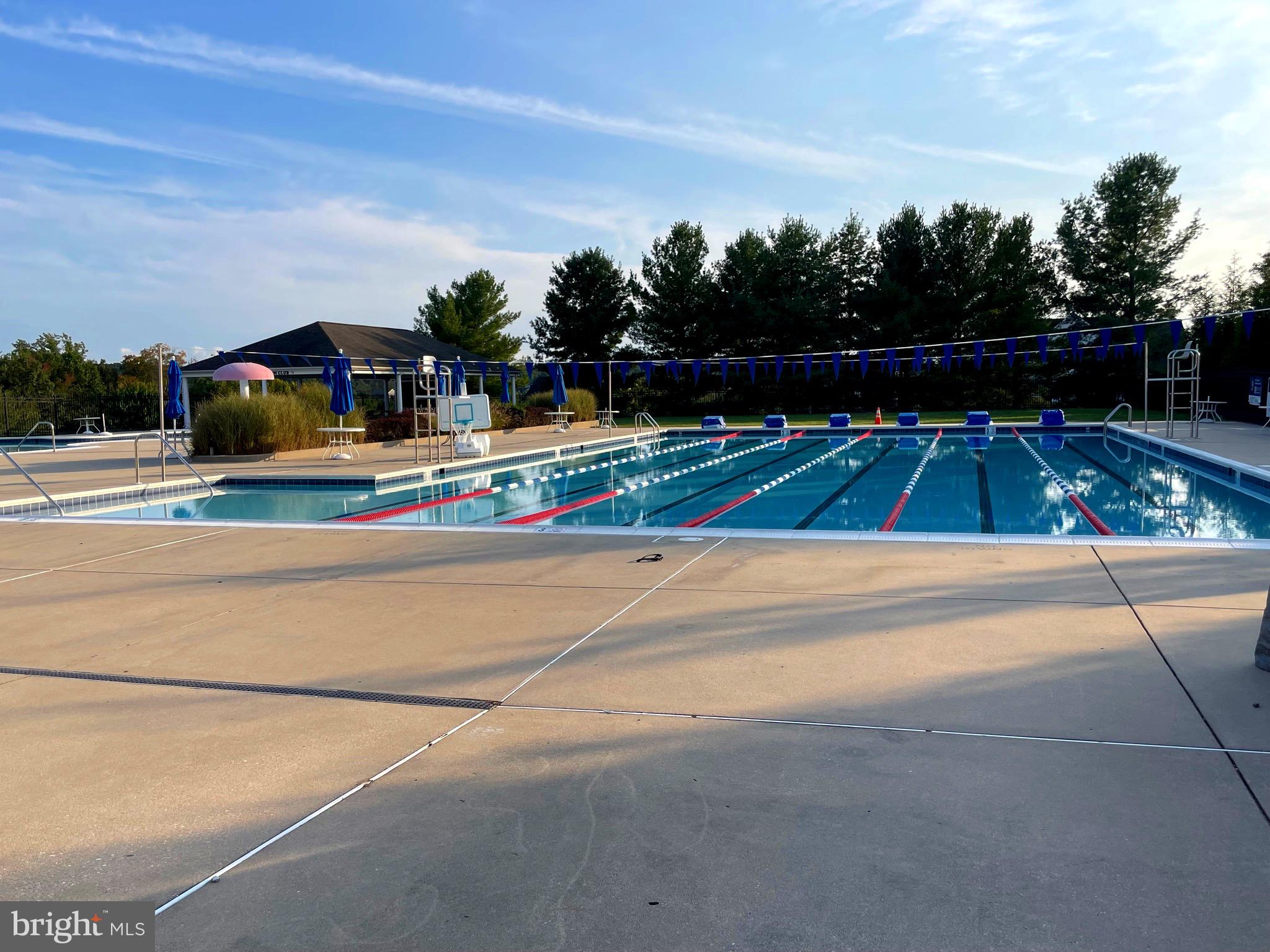 301 Longbow Road Mount Airy, MD 21771 - Photo 57 of 63 Lap Pool