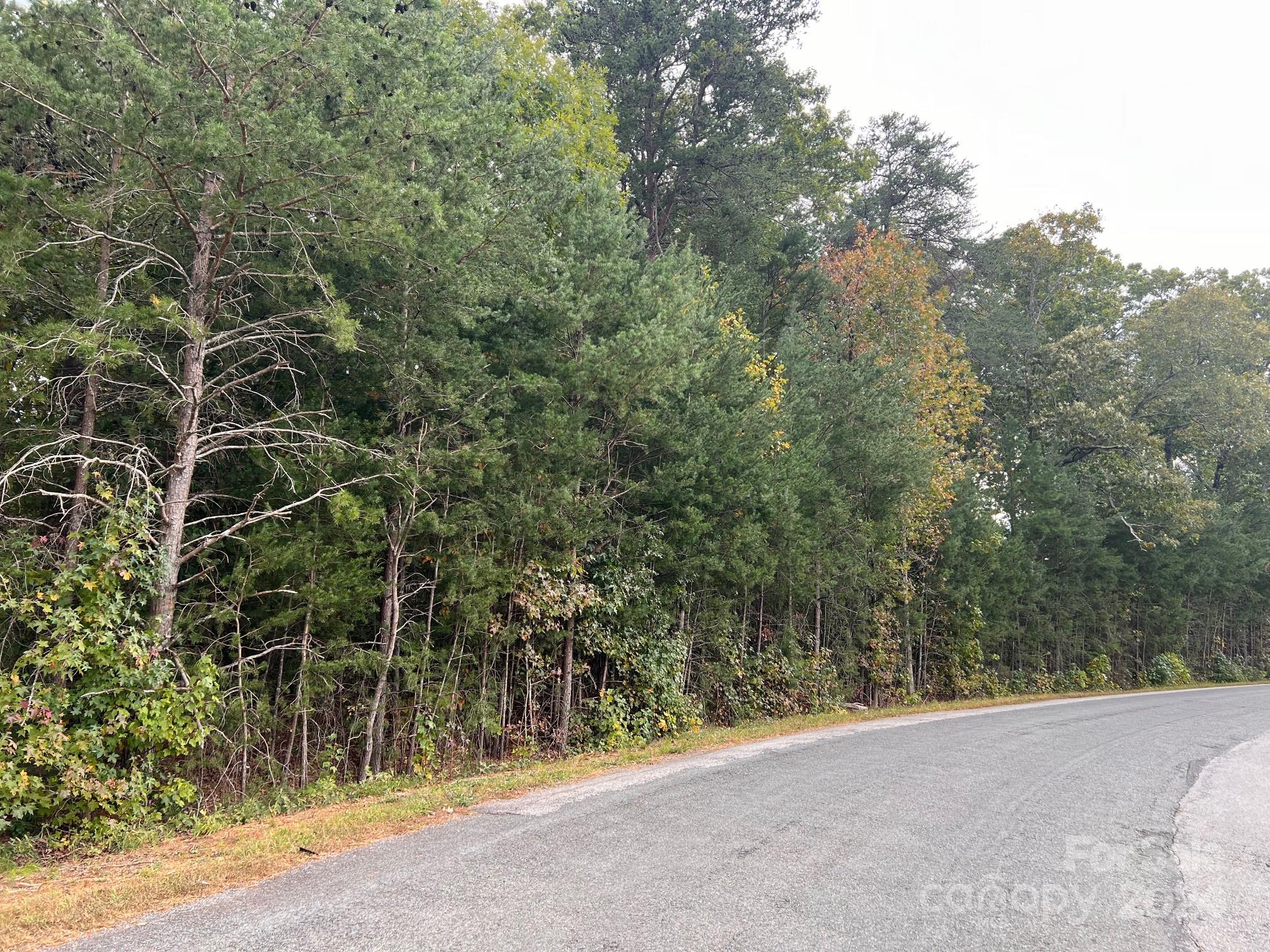 0 Cornelius Road Rockwell, NC 28138 - Photo 4 of 9 a view of a yard with plants and trees