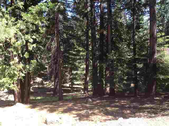 720 Timber Ridge Road, Unit 47 Lake Almanor, CA 96137 - Photo 3 of 4