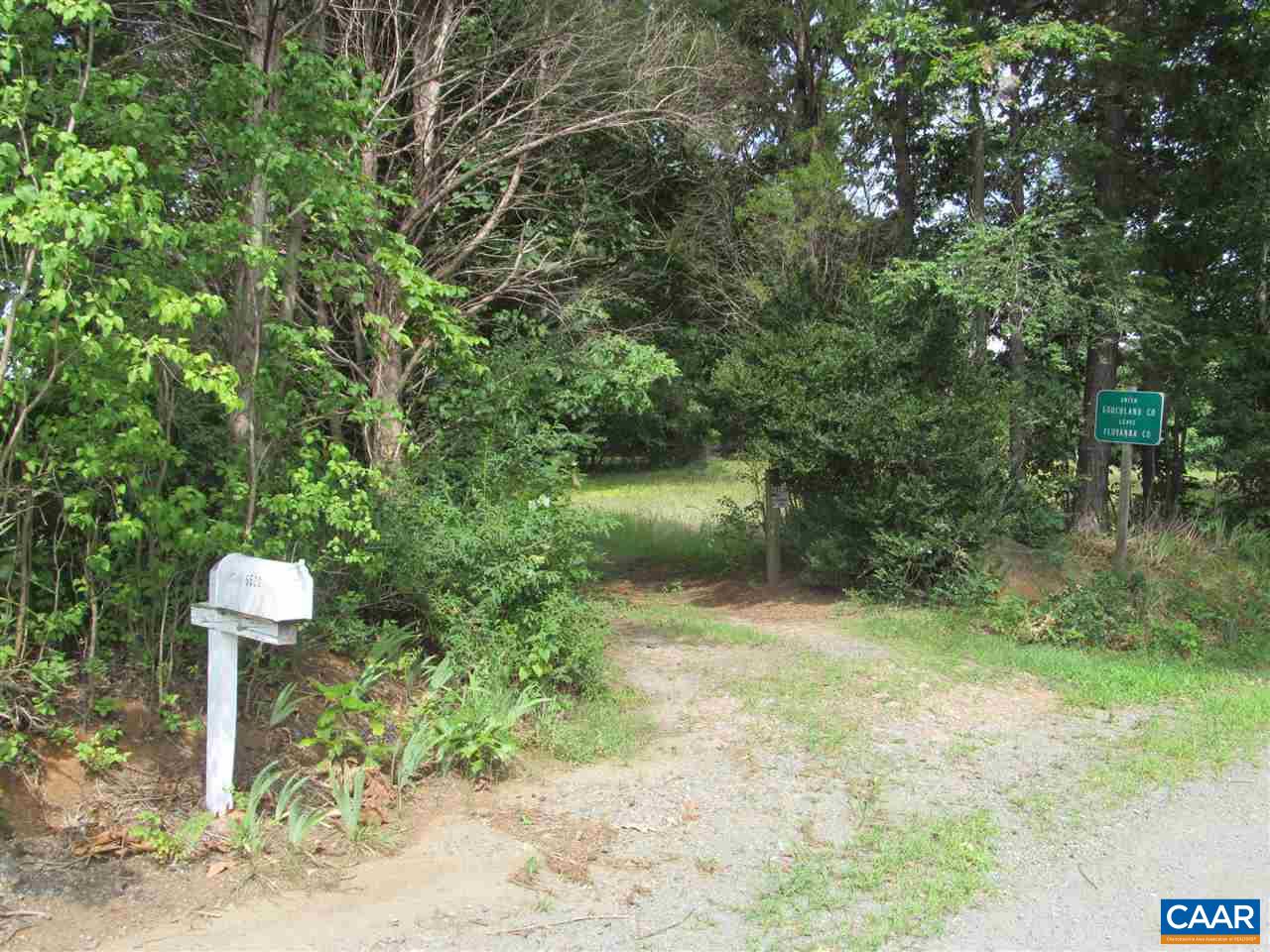 6530 Timber Road Columbia, VA 23038 - Photo 9 of 12 a view of a yard with plants