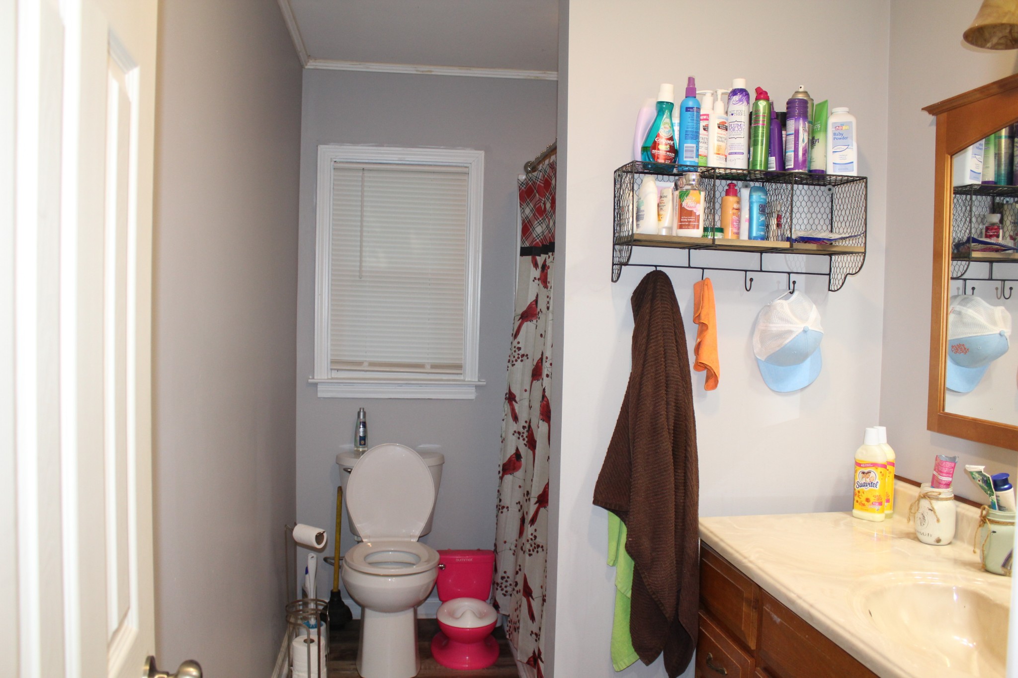 115 Day Lane Tennessee Ridge, TN 37178 - Photo 20 of 22 a bathroom with a sink toilet and a shower