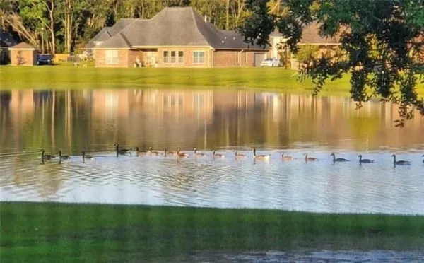 $439,500 | 266 Saw Grass Loop, Covington, LA 70435