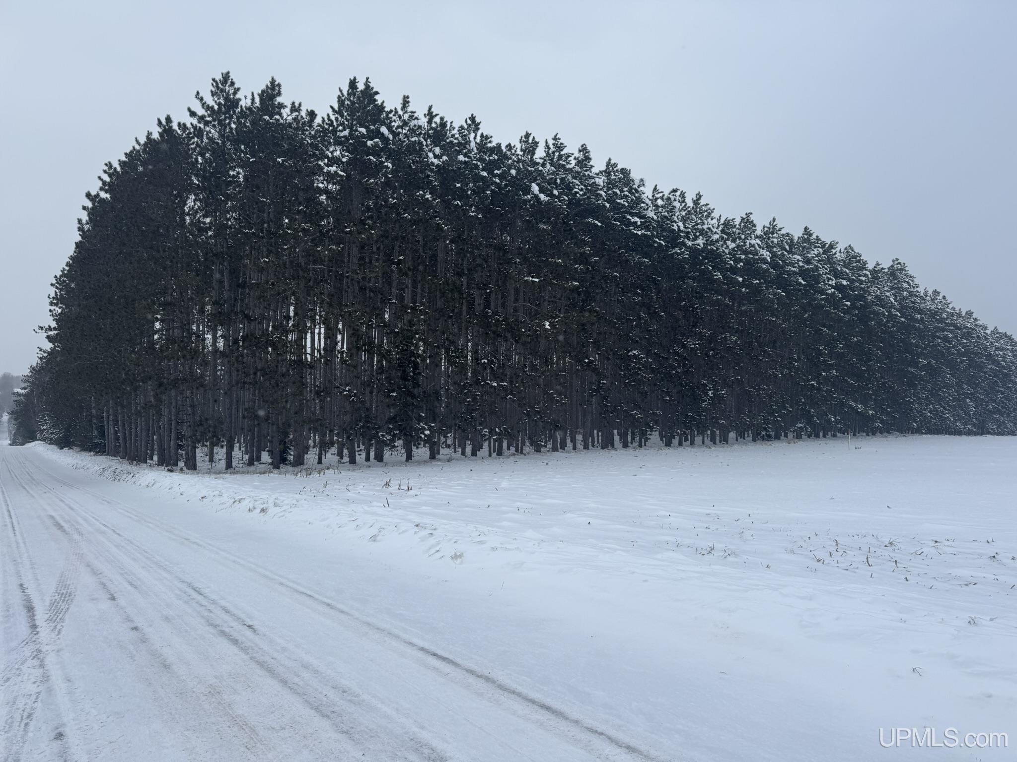 Tbd Treves Farm Road Norway, MI 49870 - Photo 4 of 4 Gallery Image 4