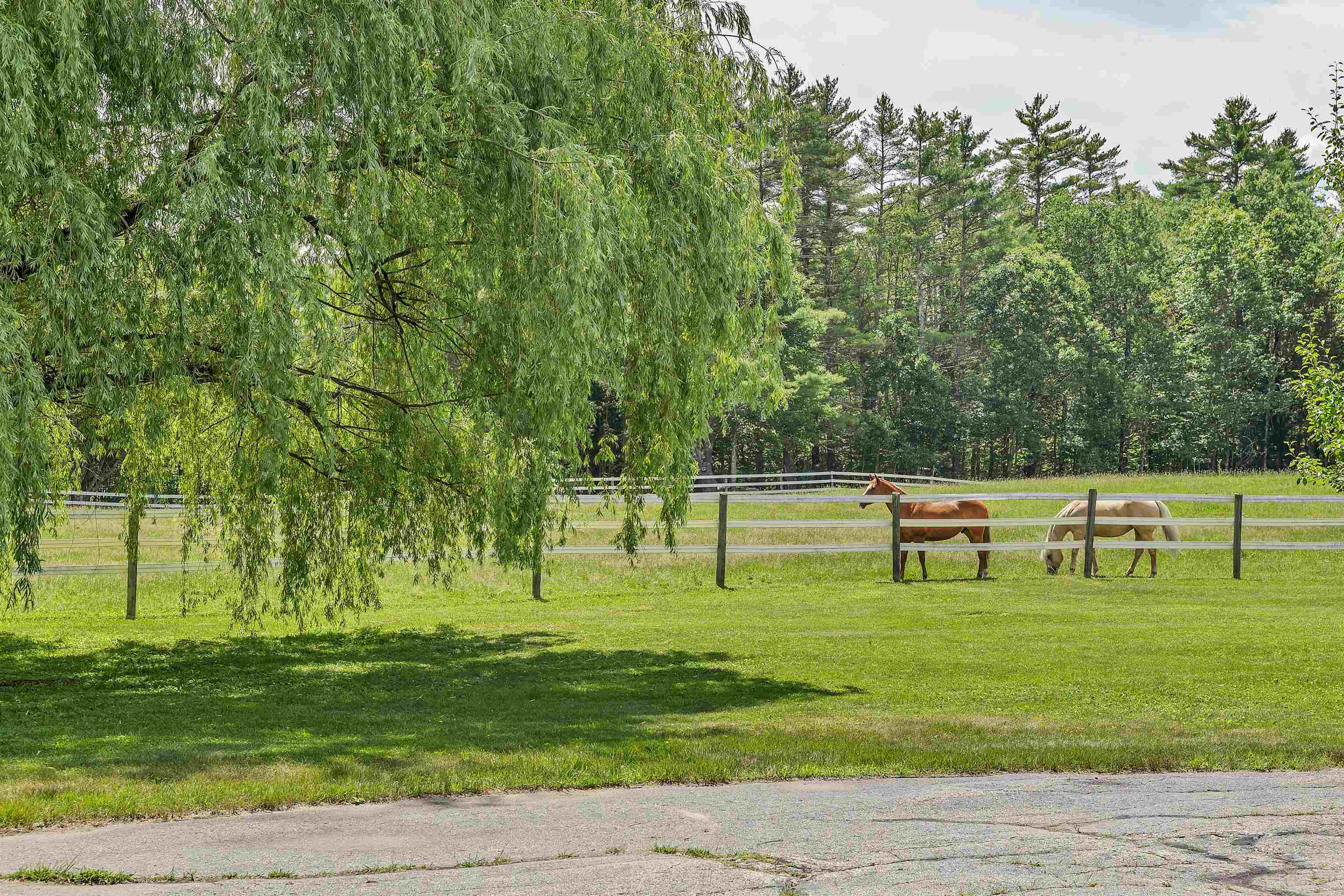 108 Whitten Neck Road Wolfeboro, NH 03894 - Photo 17 of 60 Gallery Image 17